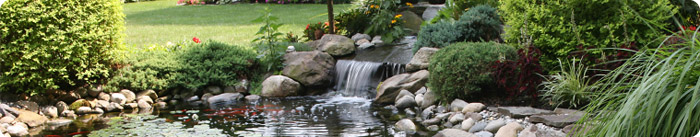 Water Features